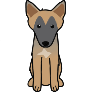 Malinois Cartoon