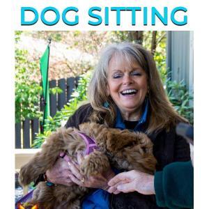 Dog Sitting