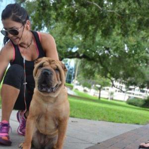 Walker with Sharpei