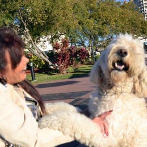 Pet Meet and Greet
