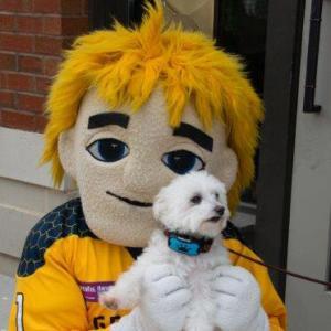 Stinger Puppy