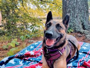 Mylah on Patriotic Blanket