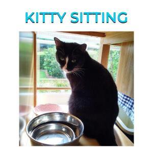 Kitty Sitting