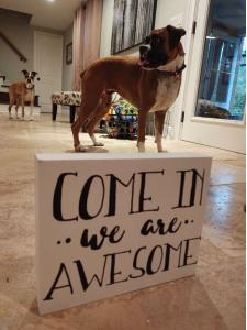 We're Awesome!