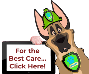 Mylah Best Care