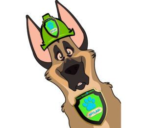 Mylah the Malinois