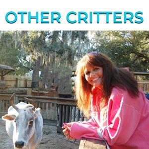 Other Critters