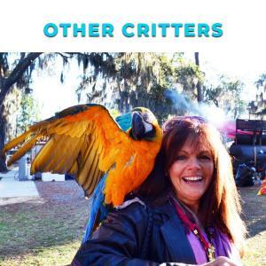 Other Critters