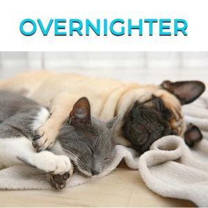 Overnighter