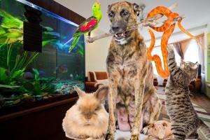 Other Critters