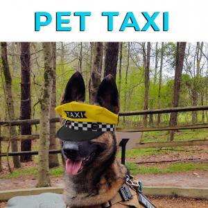 Pet Taxi