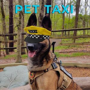 Pet Taxi