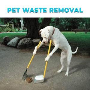 Pet Waste Removal