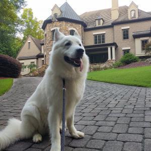 Prince of the Manor