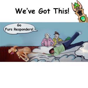 Furs Responders Services