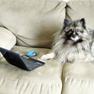 Shylah with Laptop