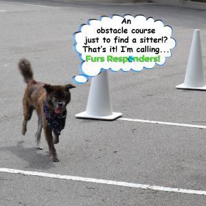 Obstacle Course