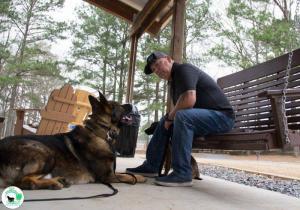 The Real Heel Training Event by K9 Concepts
