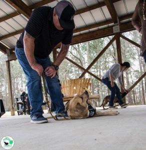 The Real Heel Training Event by K9 Concepts