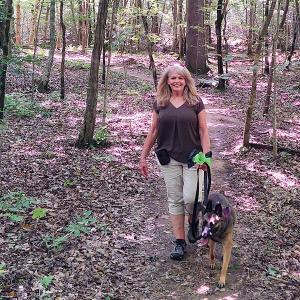 Walk in the Forest