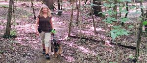 Walk in the Forest