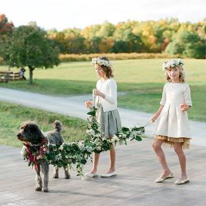 Wedding Dogs