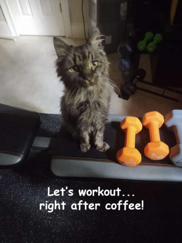 Basil-Workout-after-coffee